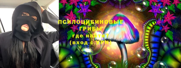 дживик Абинск