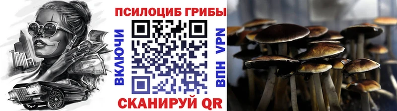 Псилоцибиновые грибы Psilocybine cubensis  продажа наркотиков  Серафимович 